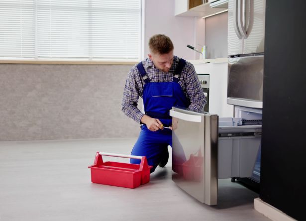 Professional Samsung Freezer Repair Services